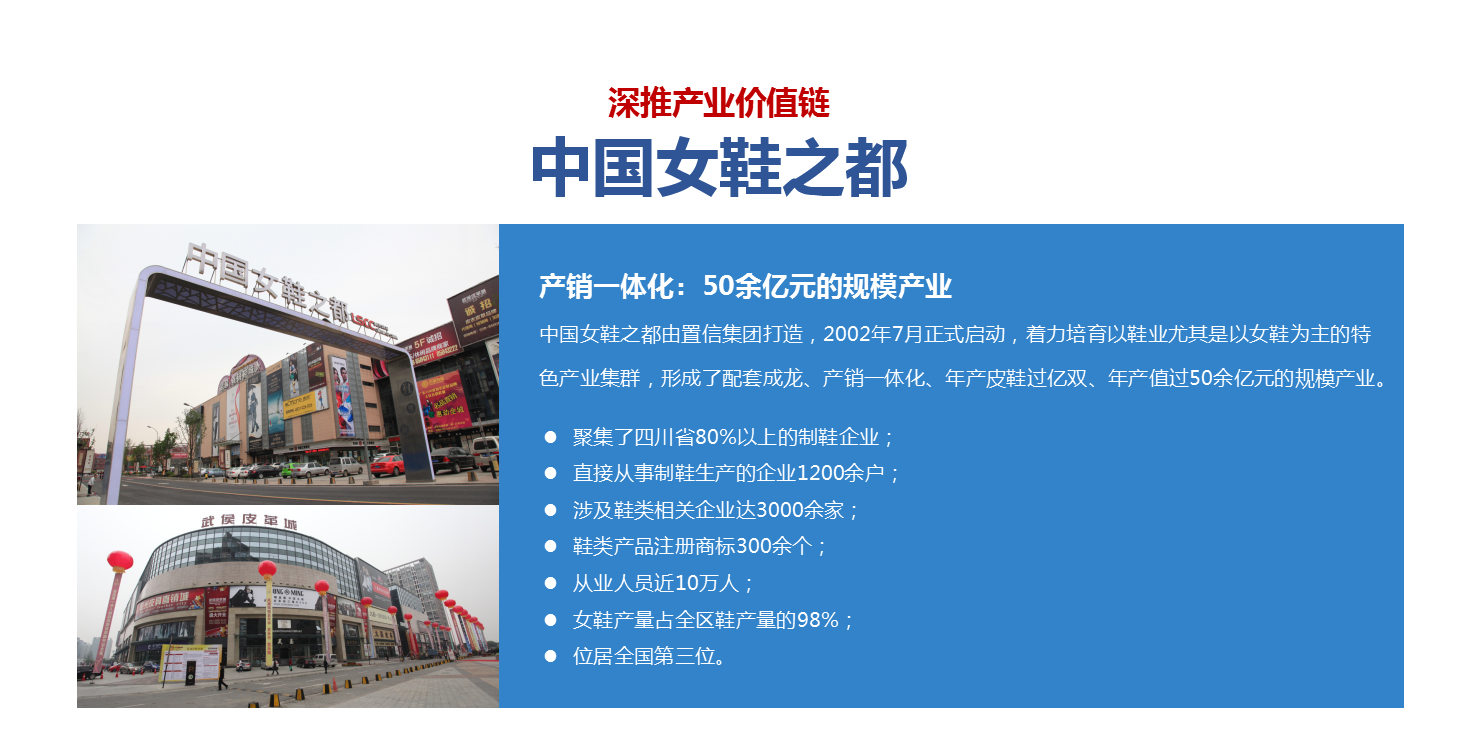 産業(yè)-工(gōng)業(yè)型-女(nǚ)鞋之都(dōu)