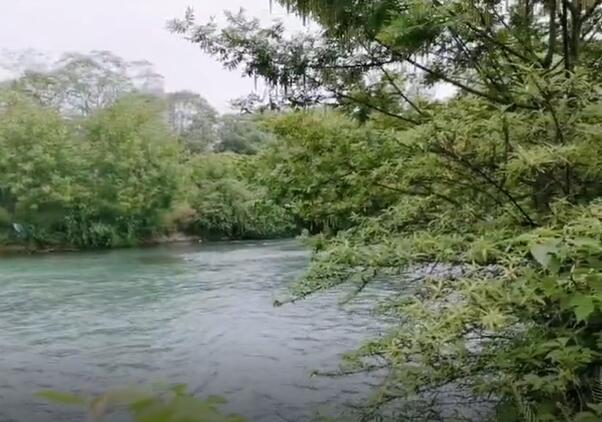 與春同行(xíng)-惬意鹭湖(hú)宮