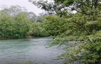 與春同行(xíng)-惬意鹭湖(hú)宮